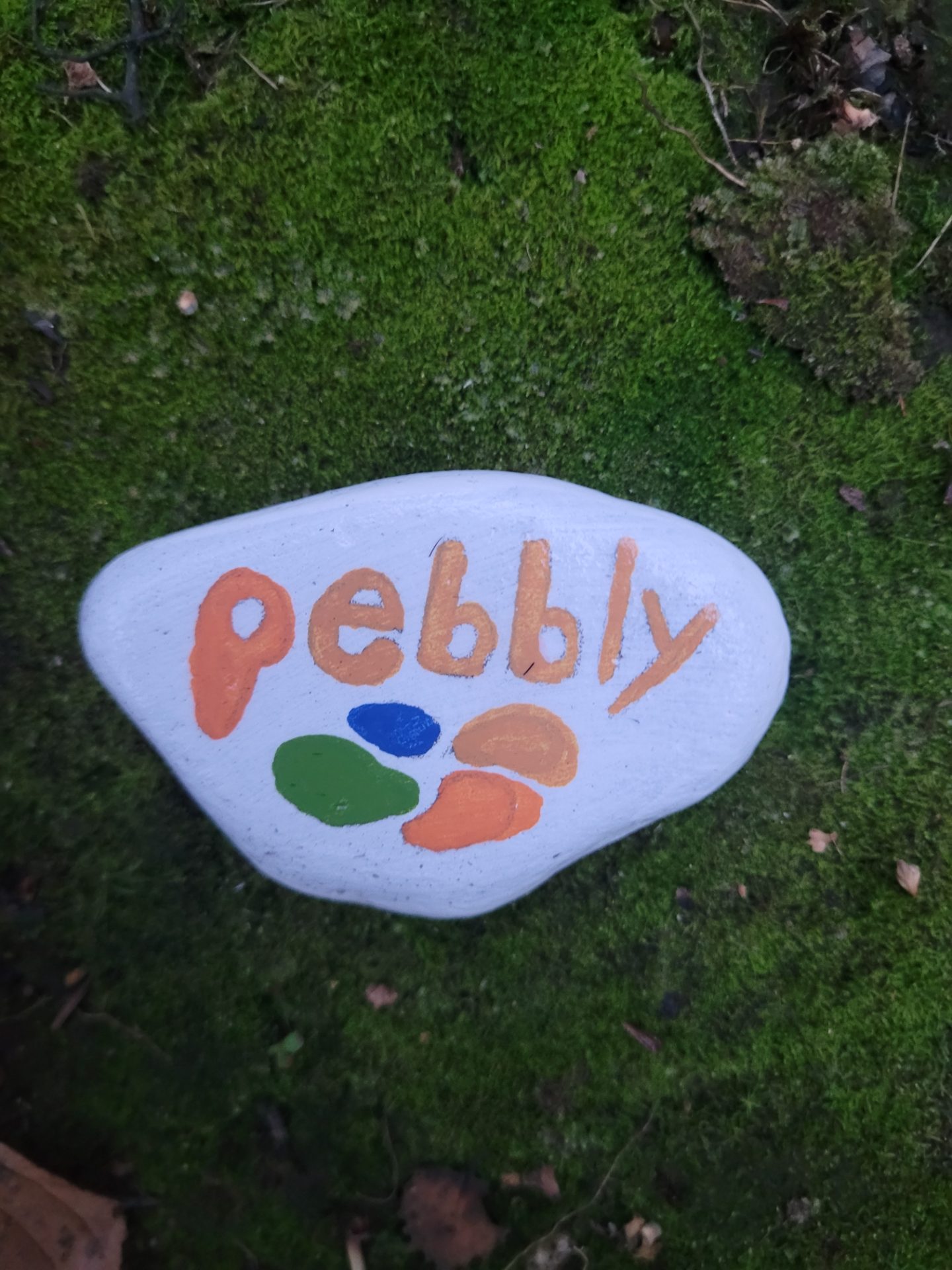 Pebbly rocks