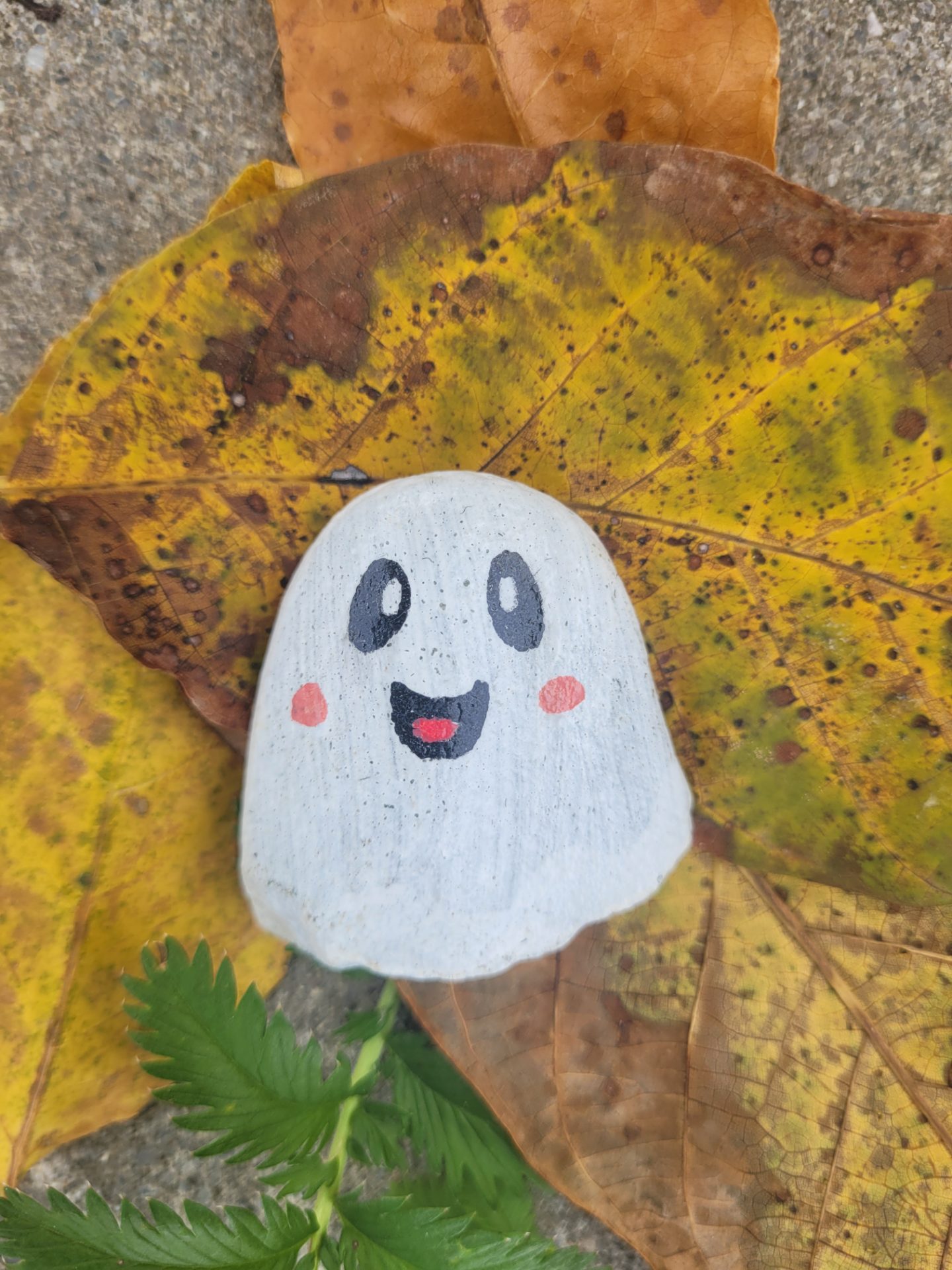 Casper The Friendly Rock