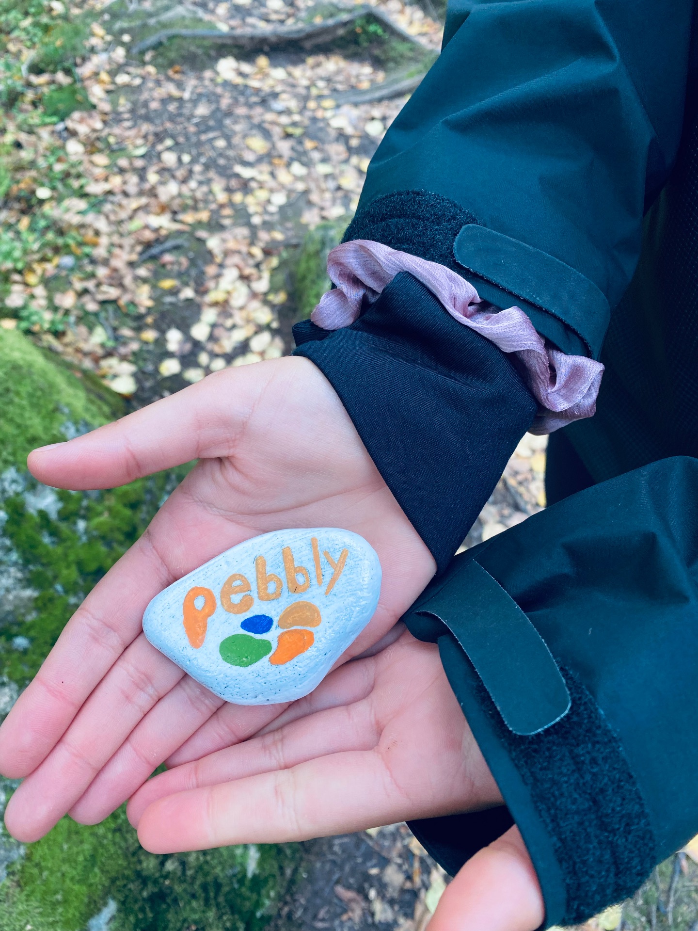 Pebbly rocks found in Eidsdal, Norway